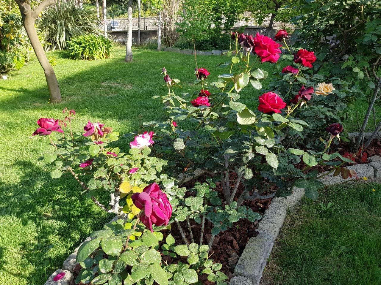 Villa Kalimera Półwysep Sorrentyński Zewnętrze zdjęcie