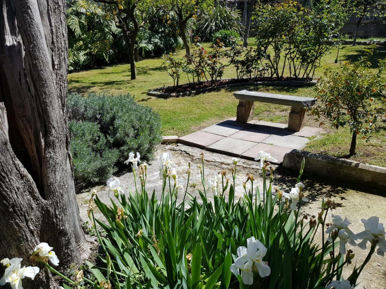 Villa Kalimera Półwysep Sorrentyński Zewnętrze zdjęcie